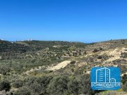 Pitsidia Kreta, Pitsidia: Grundstück am Ortsrand zu verkaufen Grundstück kaufen